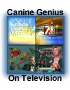 Canine Genius: news